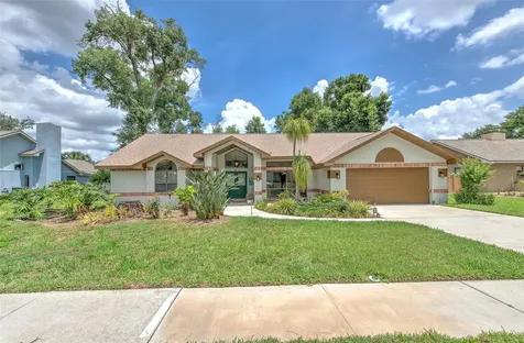 3816 Buckingham Loop Drive Valrico FL 33594