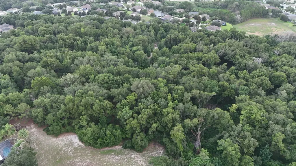 3016 Robie Avenue Mount Dora FL 32757