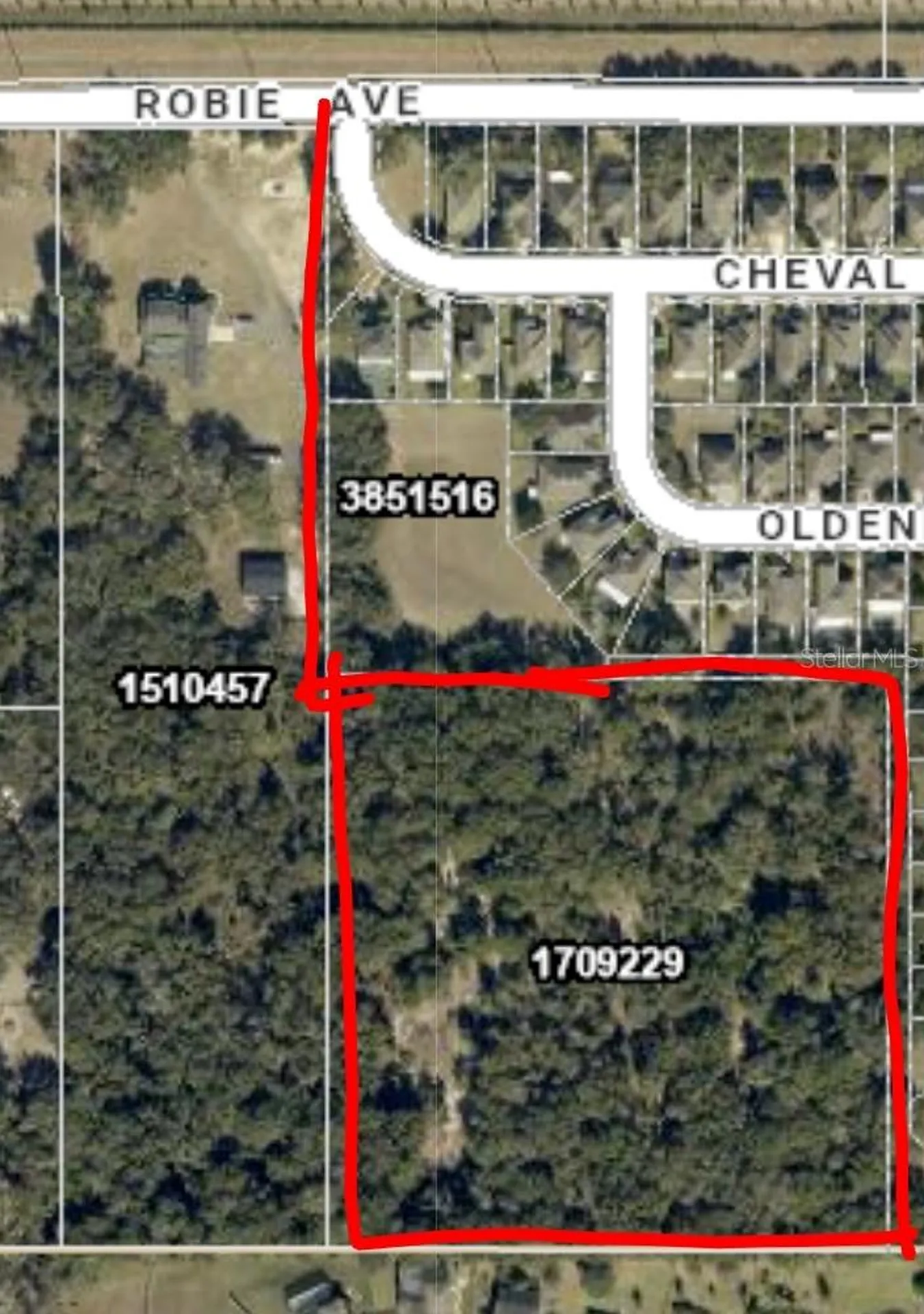 3016 Robie Avenue Mount Dora FL 32757