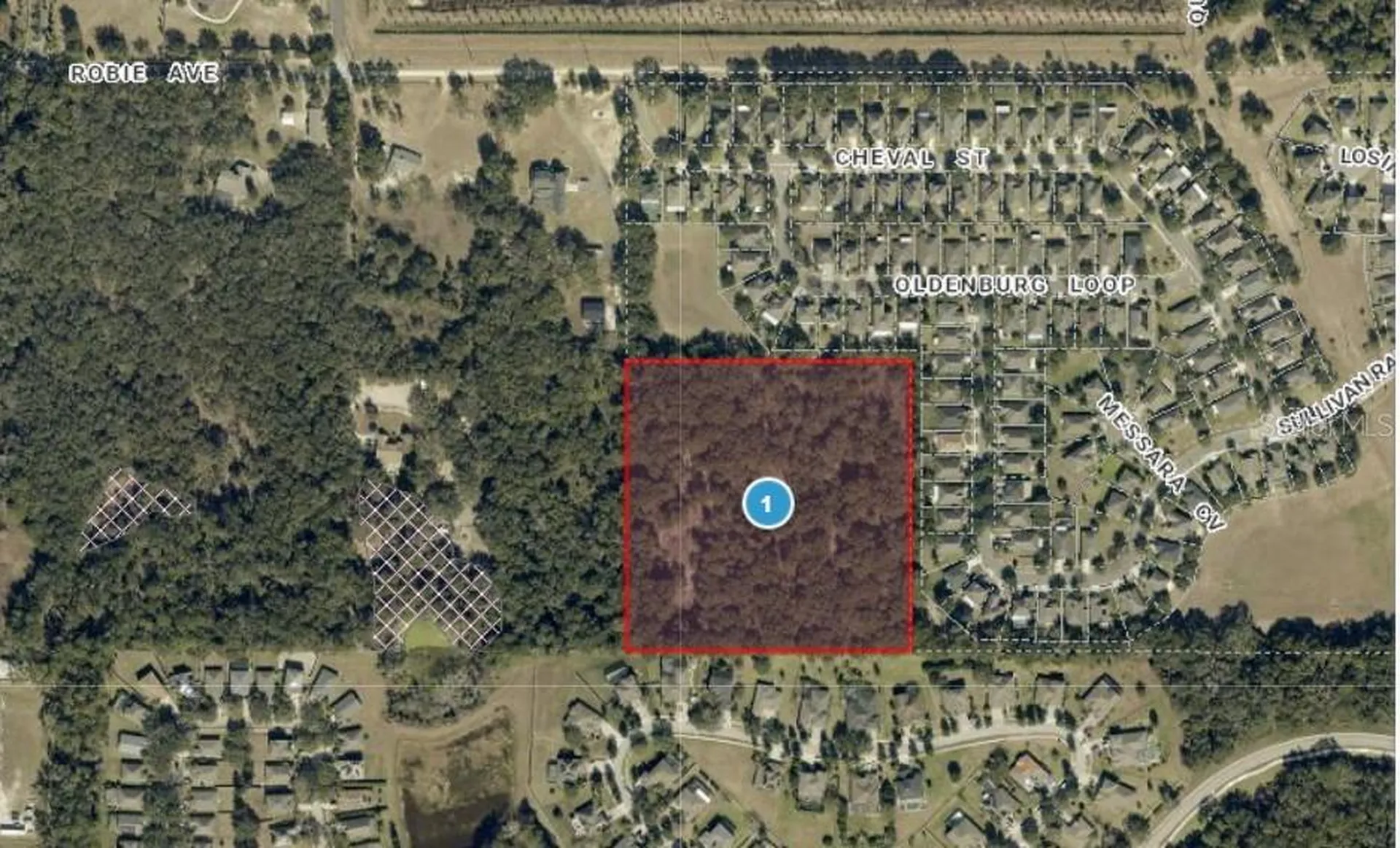 3016 Robie Avenue Mount Dora FL 32757