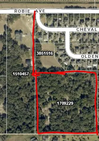 3016 Robie Avenue Mount Dora FL 32757