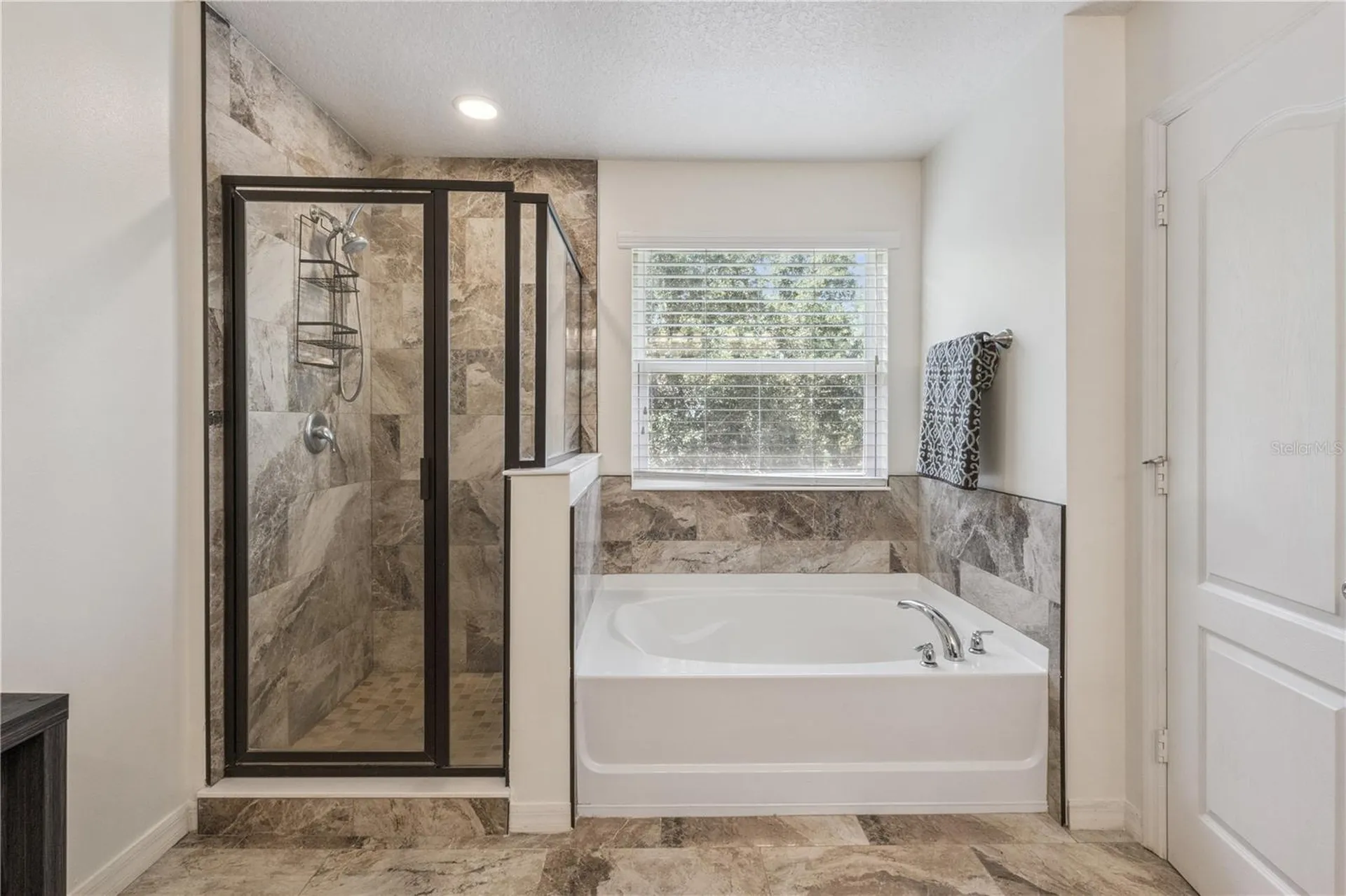 1572 Auburn Hills Court Tavares FL 32778