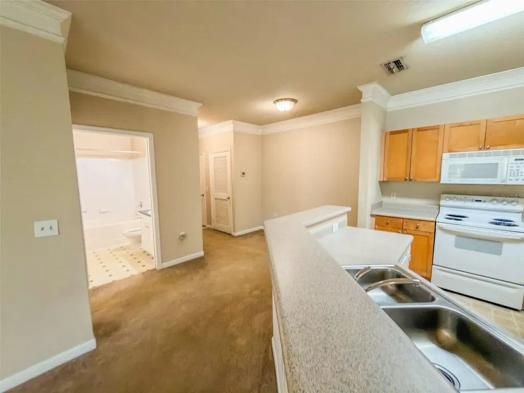 8818 Villa View Circle Orlando FL 32821