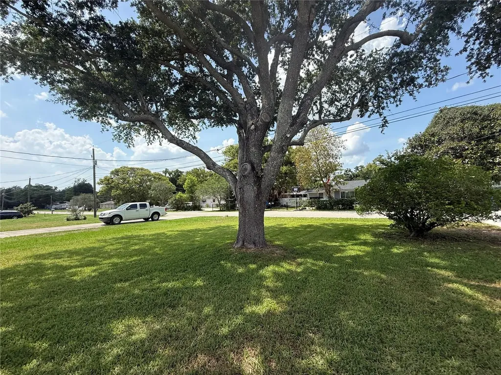 115 Elrod Drive Brandon FL 33510