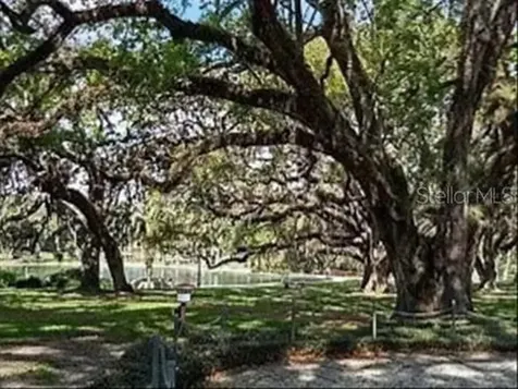 Longwood FL 32779