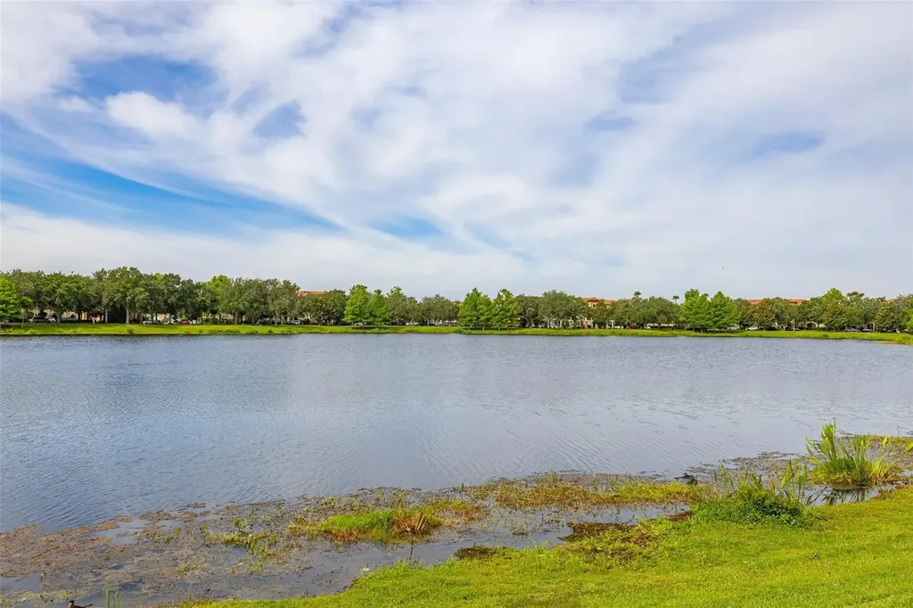 7435 Ripplepointe Way Windermere FL 34786