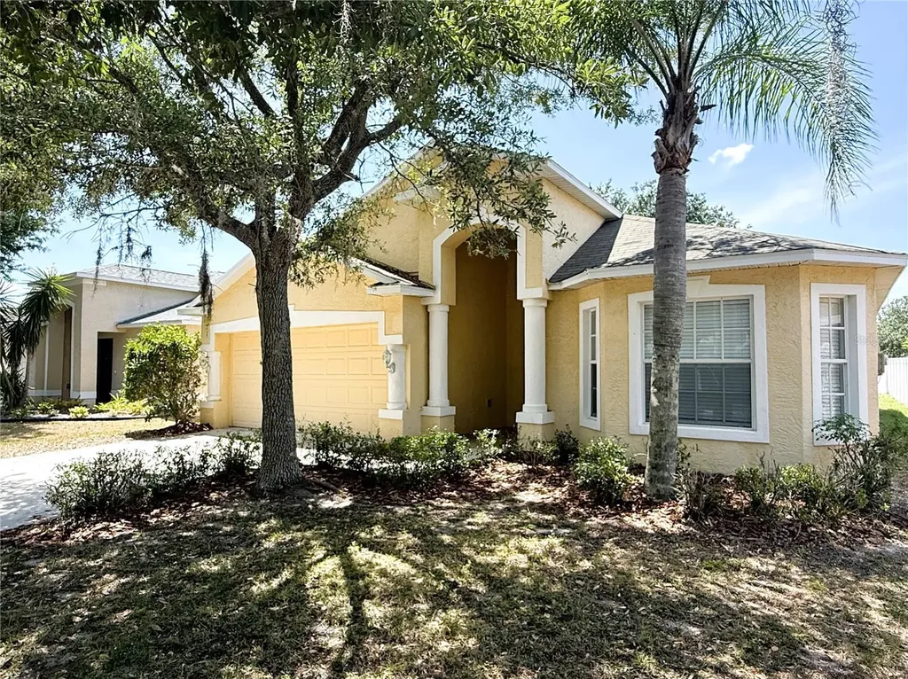 2345 Roanoke Springs Drive Ruskin FL 33570