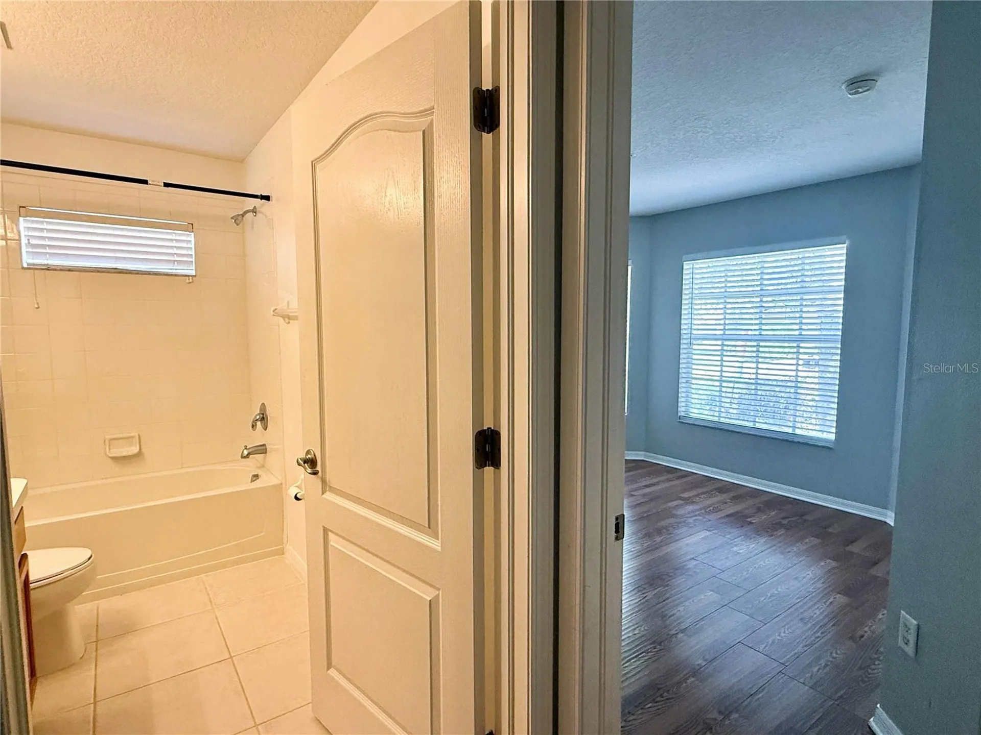 2345 Roanoke Springs Drive Ruskin FL 33570
