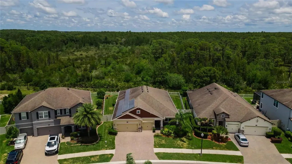 18233 Roseate Drive Lutz FL 33558