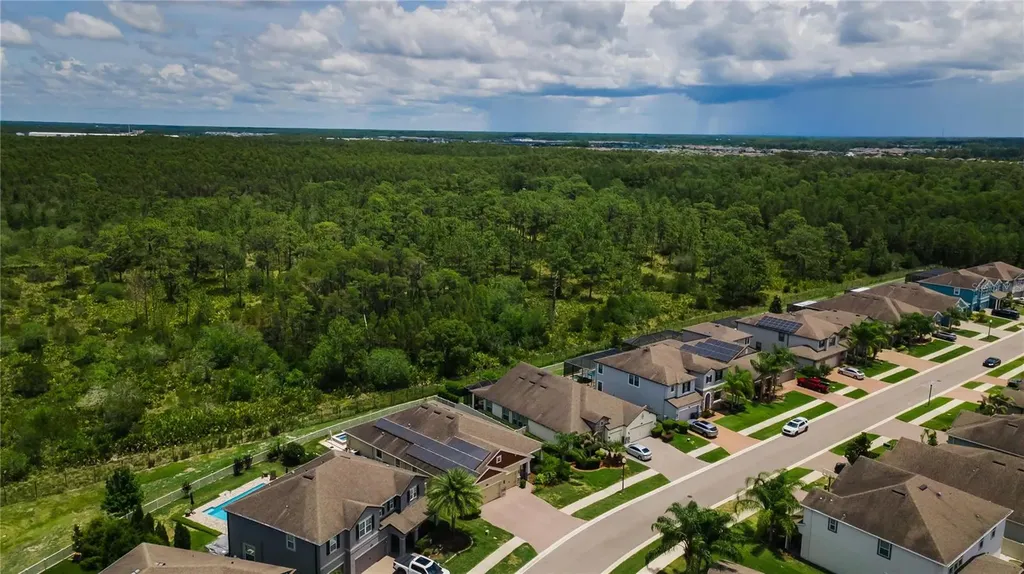 18233 Roseate Drive Lutz FL 33558