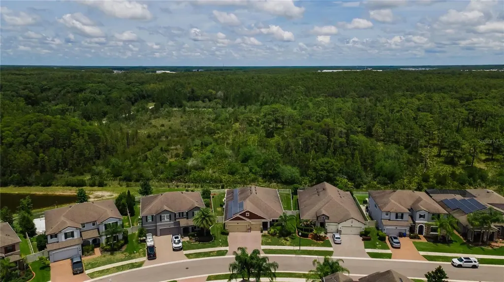 18233 Roseate Drive Lutz FL 33558