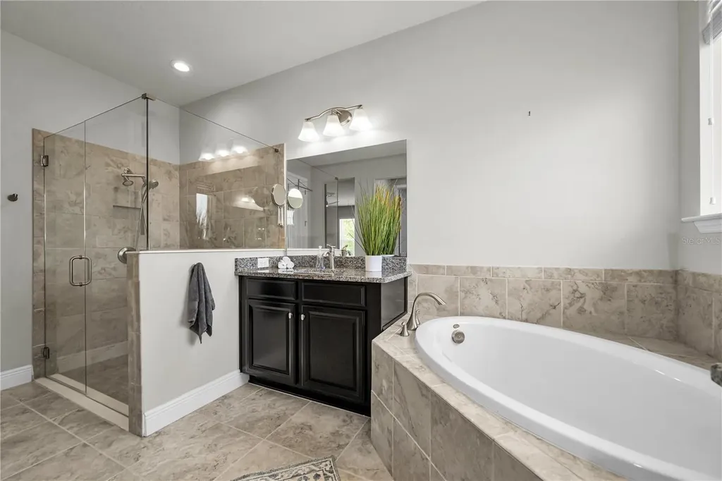 18233 Roseate Drive Lutz FL 33558