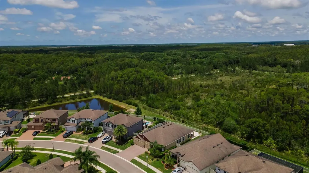 18233 Roseate Drive Lutz FL 33558