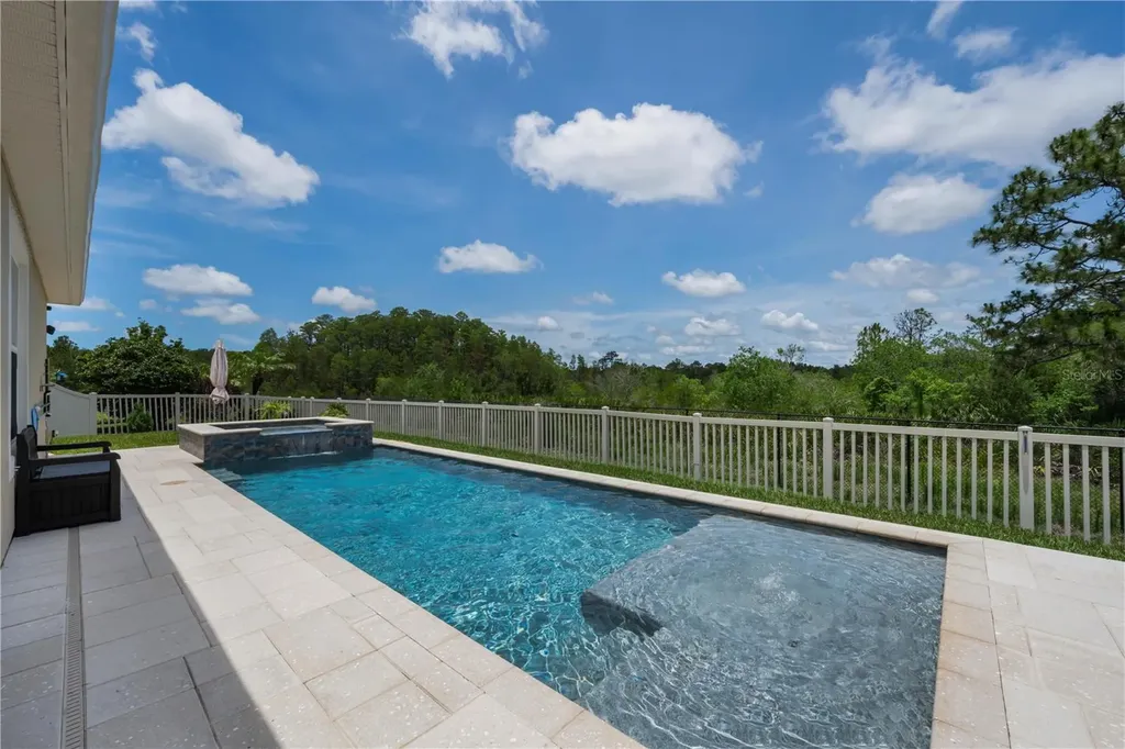 18233 Roseate Drive Lutz FL 33558