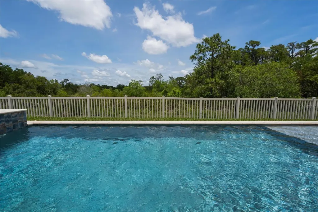 18233 Roseate Drive Lutz FL 33558