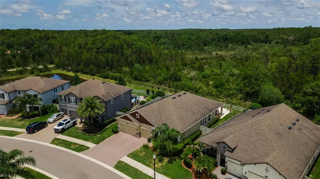 18233 Roseate Drive Lutz FL 33558