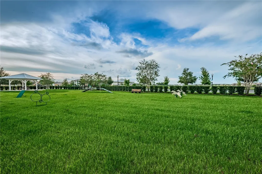18233 Roseate Drive Lutz FL 33558