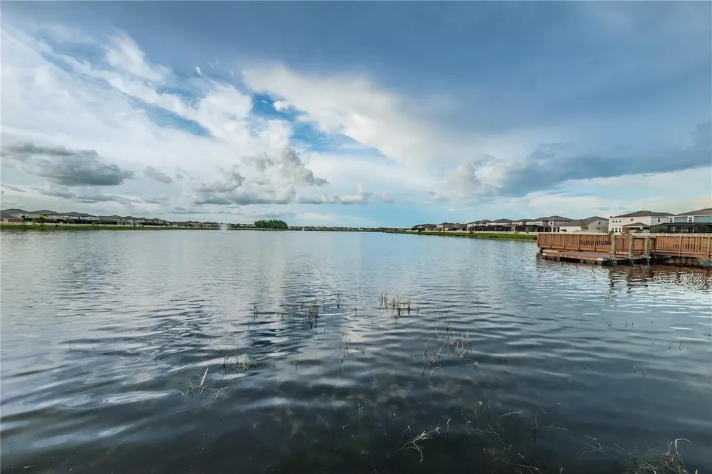 18233 Roseate Drive Lutz FL 33558