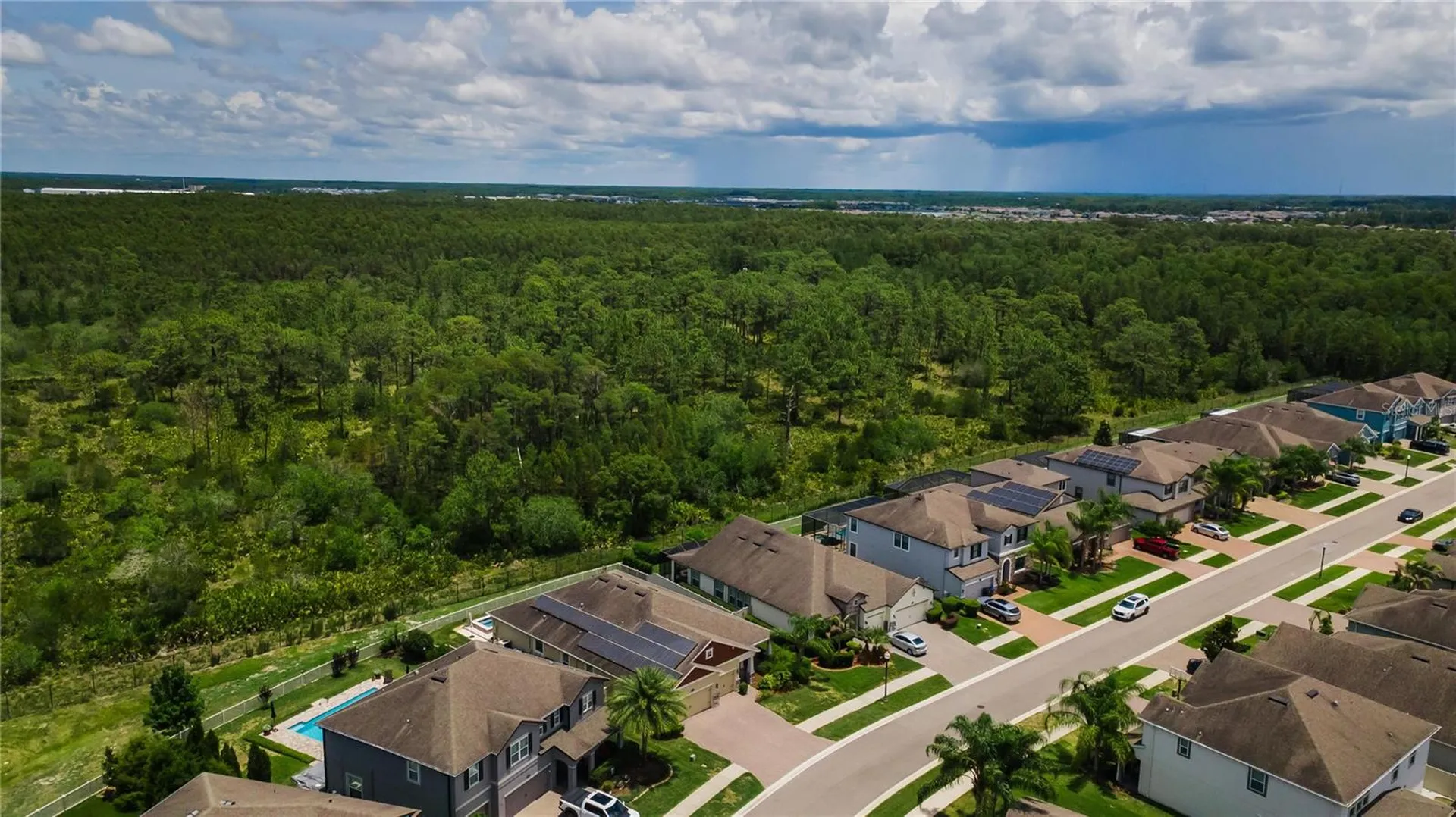18233 Roseate Drive Lutz FL 33558