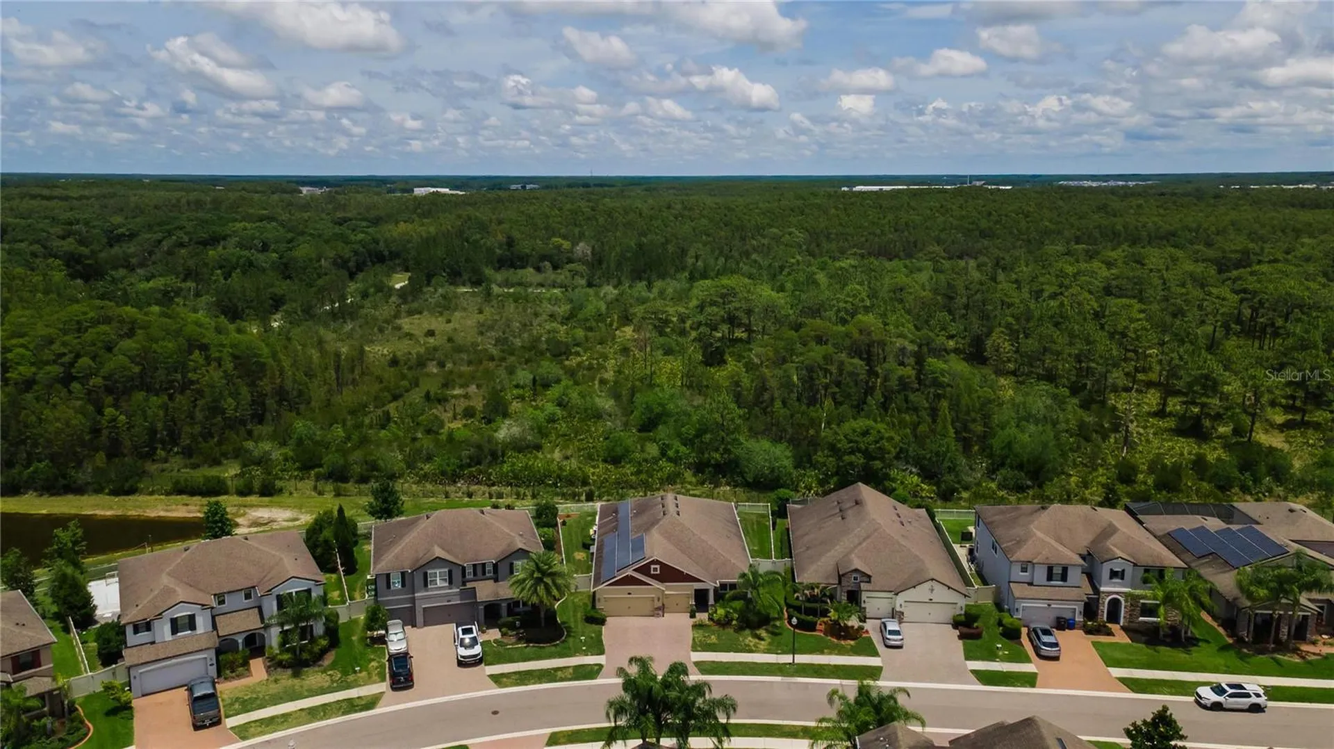 18233 Roseate Drive Lutz FL 33558