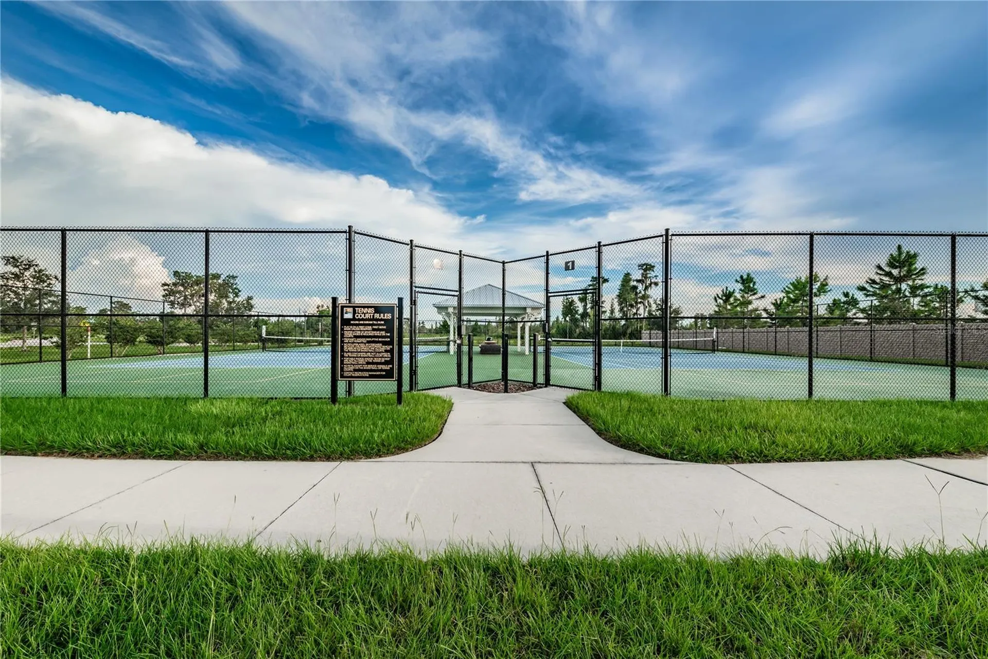 18233 Roseate Drive Lutz FL 33558