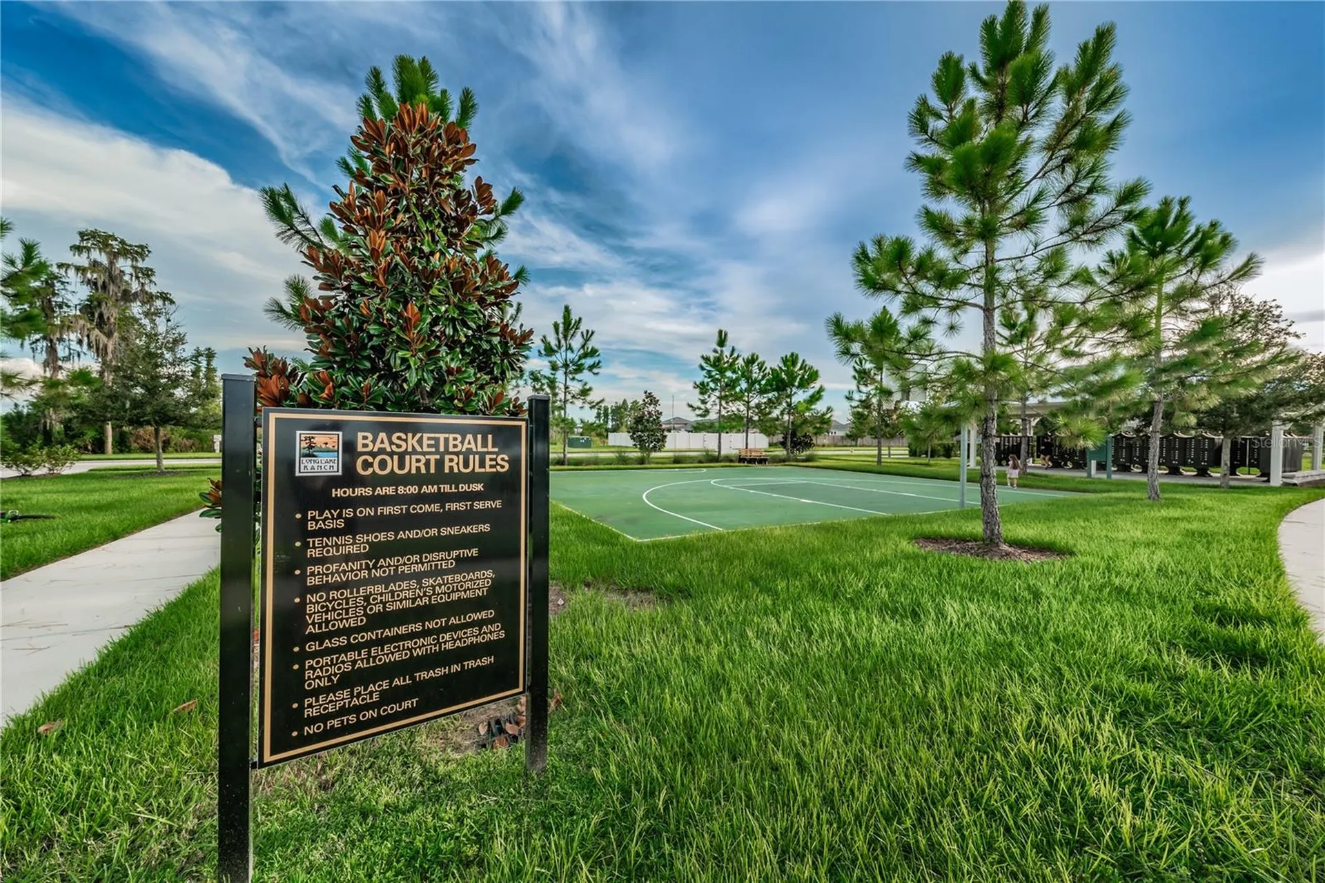 18233 Roseate Drive Lutz FL 33558