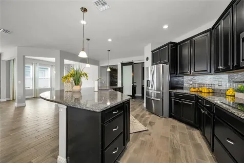 18233 Roseate Drive Lutz FL 33558