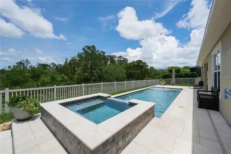 18233 Roseate Drive Lutz FL 33558