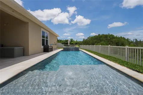 18233 Roseate Drive Lutz FL 33558