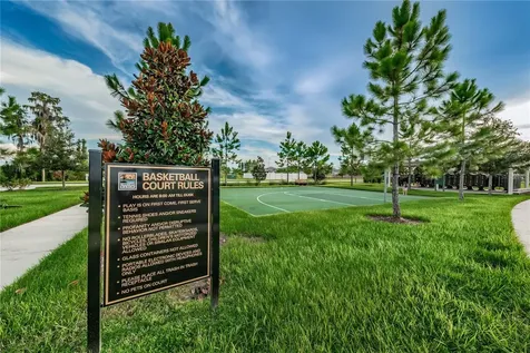 18233 Roseate Drive Lutz FL 33558