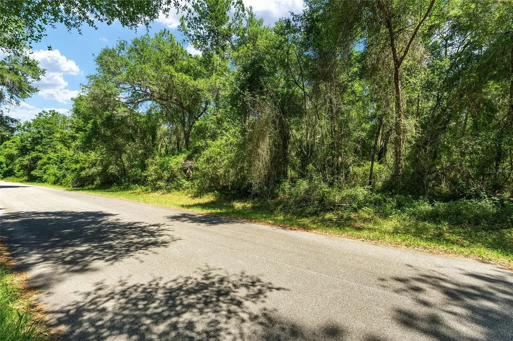 905 E Abend Drive Dunnellon FL 34434