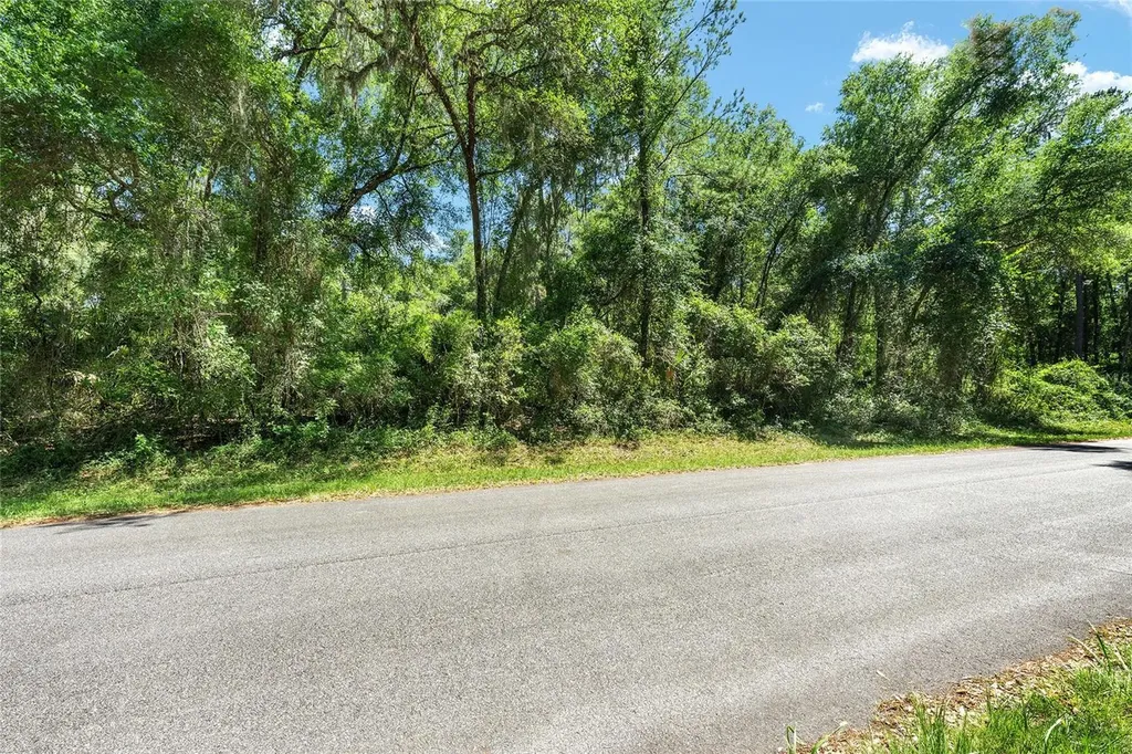 905 E Abend Drive Dunnellon FL 34434