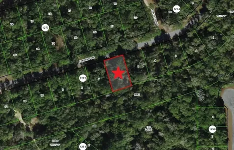 905 E Abend Drive Dunnellon FL 34434