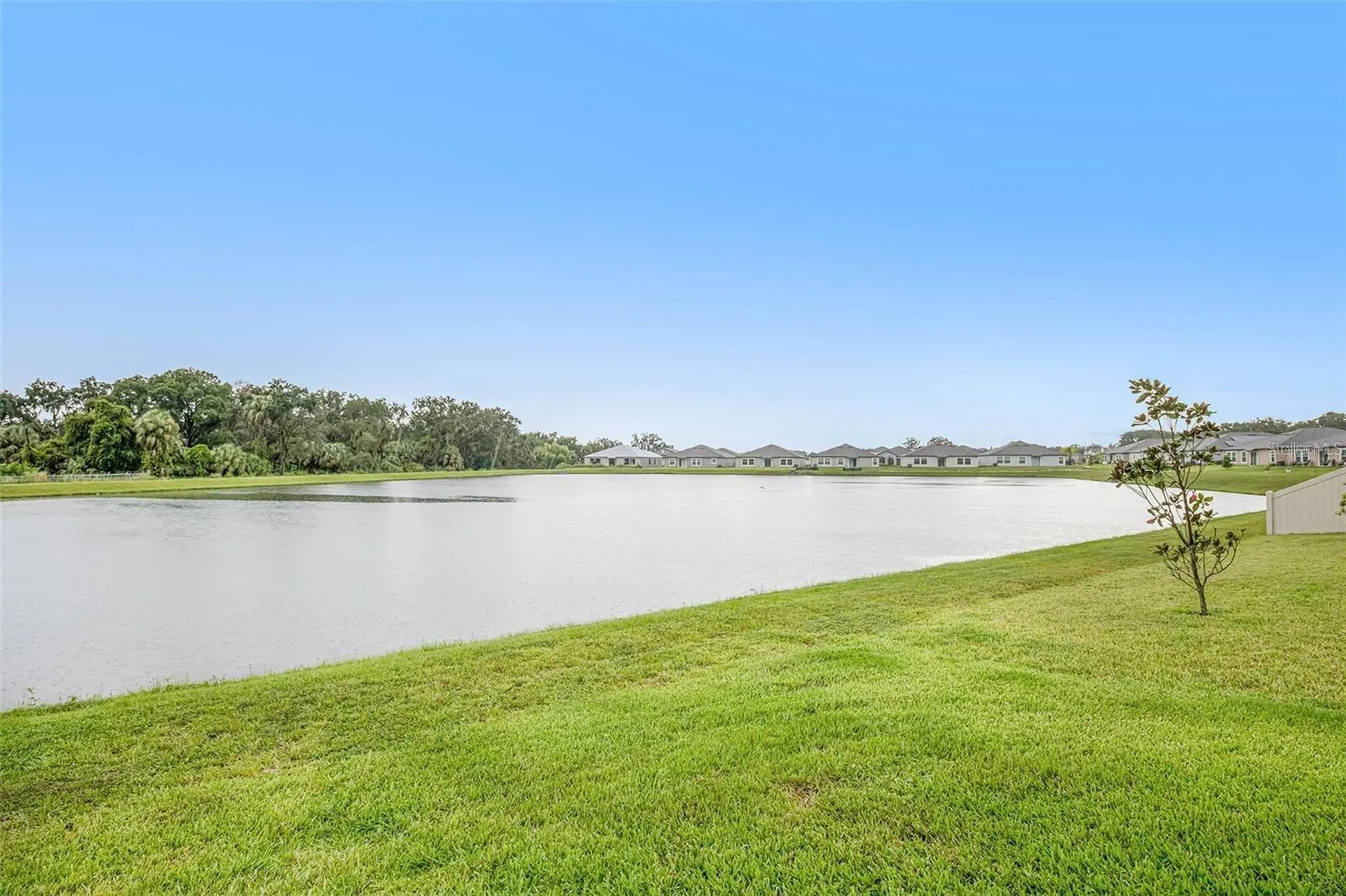 10829 Crushed Grape Drive Riverview FL 33578