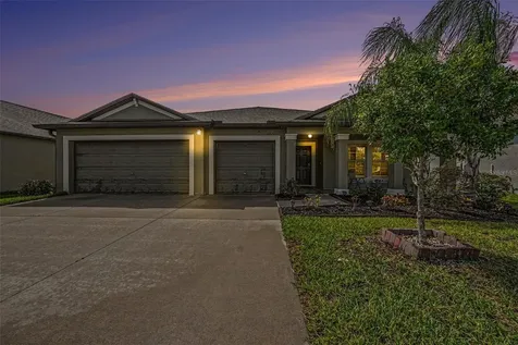10829 Crushed Grape Drive Riverview FL 33578