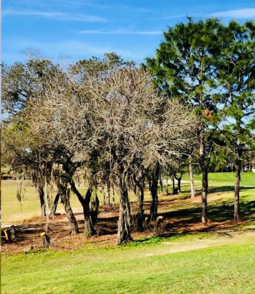 51 Hickory Course Trail Ocala FL 34472
