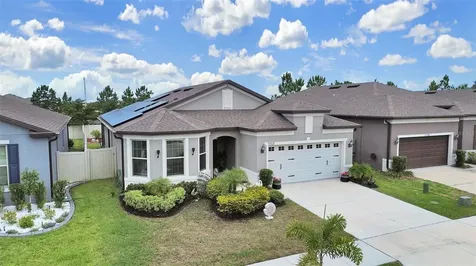 11121 Green Harvest Drive Riverview FL 33578