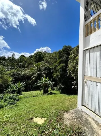 Sr 873 Piedras Blancas Guaynabo PR 00971