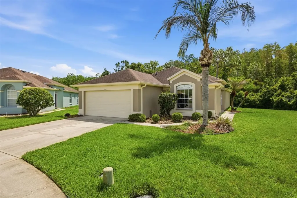 5600 Sir Barton Court Wesley Chapel FL 33544