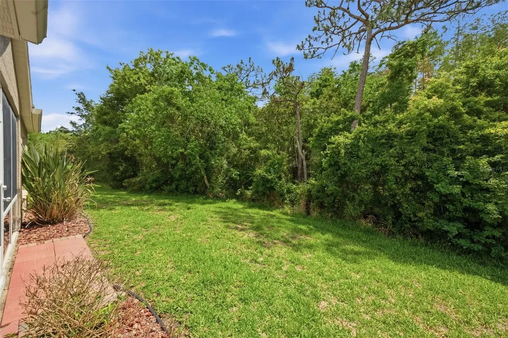 5600 Sir Barton Court Wesley Chapel FL 33544
