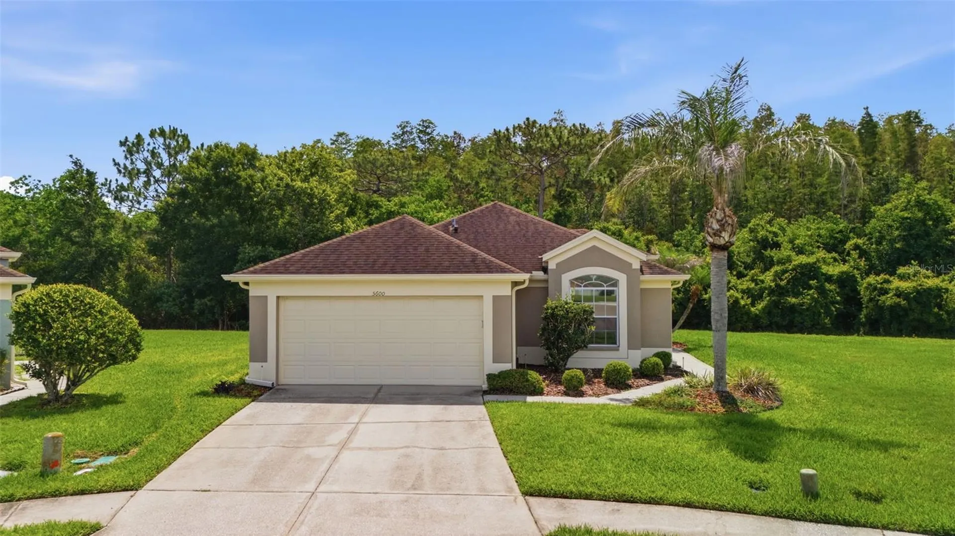 5600 Sir Barton Court Wesley Chapel FL 33544