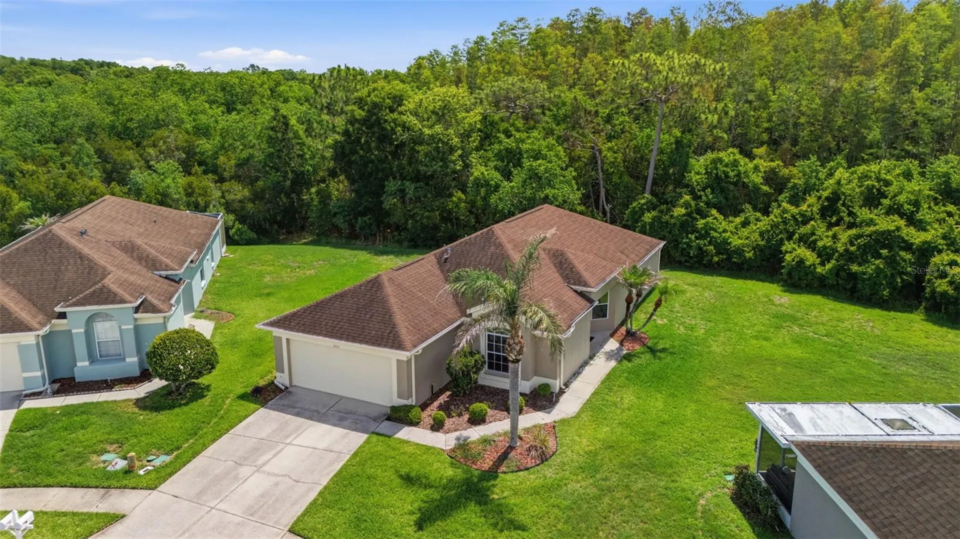 5600 Sir Barton Court Wesley Chapel FL 33544