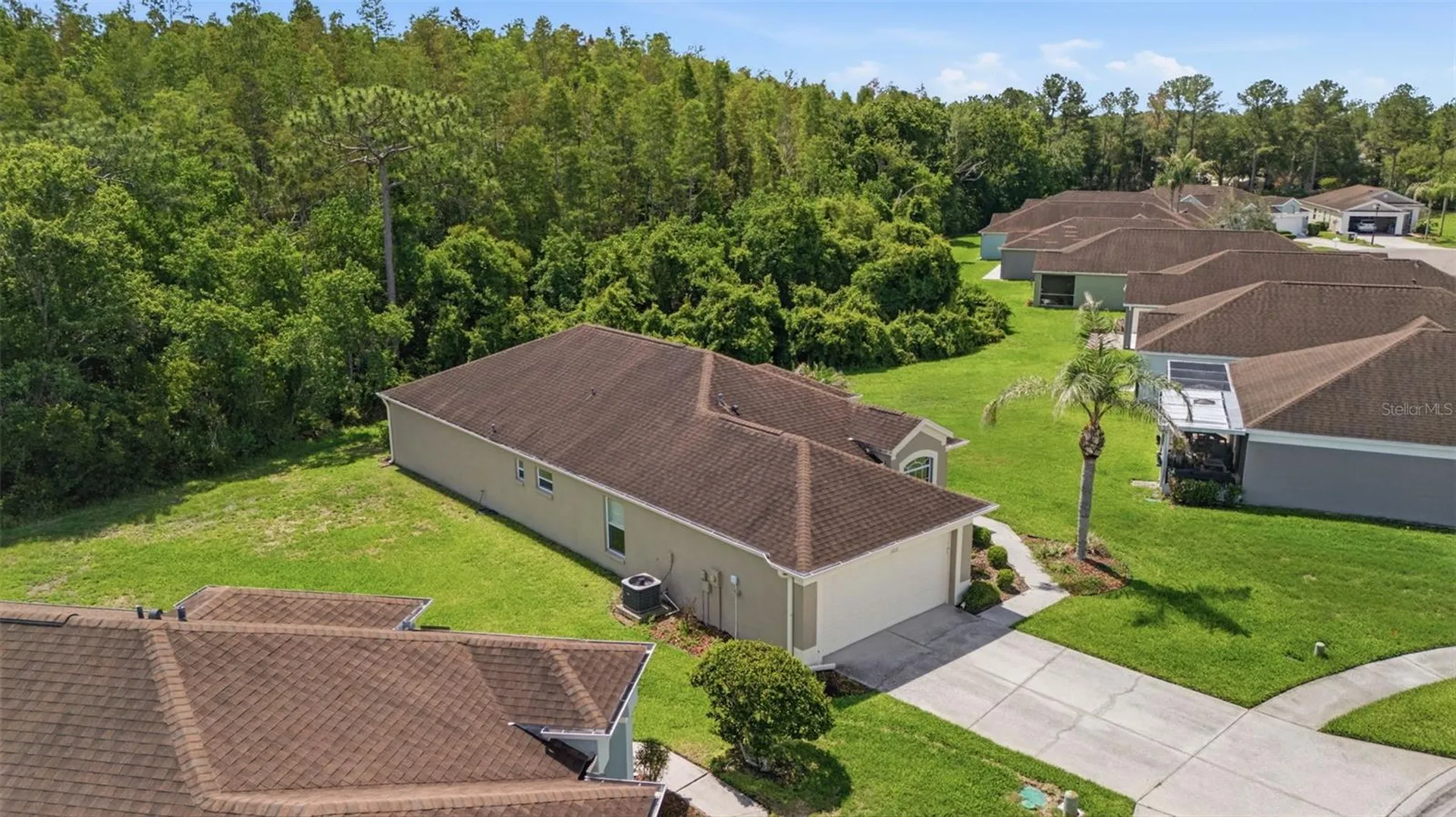 5600 Sir Barton Court Wesley Chapel FL 33544