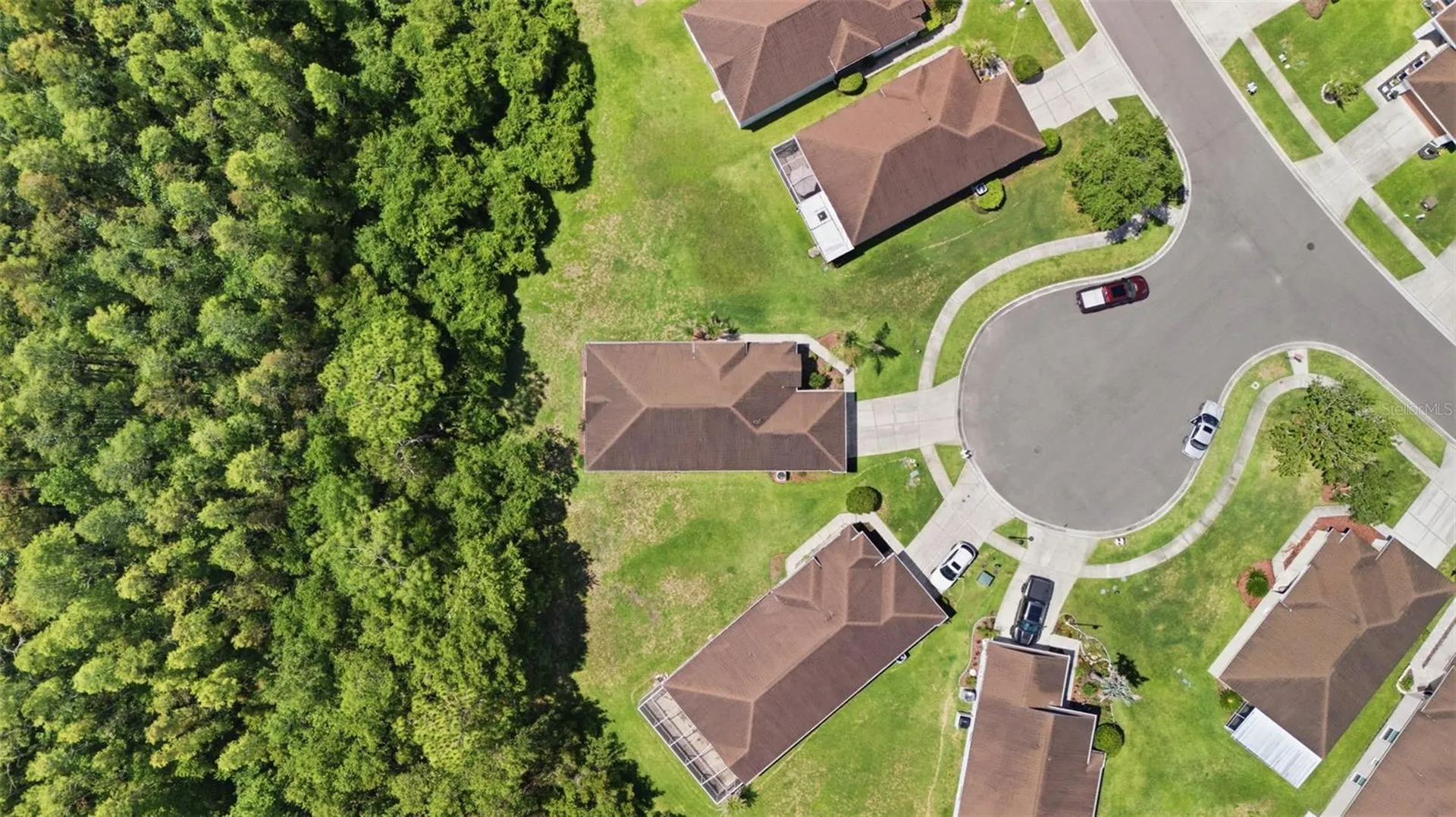 5600 Sir Barton Court Wesley Chapel FL 33544