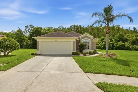 5600 Sir Barton Court Wesley Chapel FL 33544