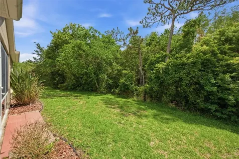 5600 Sir Barton Court Wesley Chapel FL 33544
