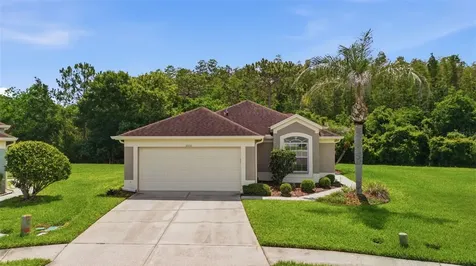 5600 Sir Barton Court Wesley Chapel FL 33544