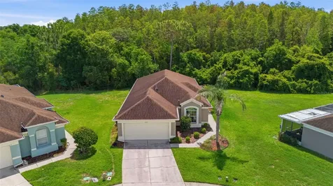 5600 Sir Barton Court Wesley Chapel FL 33544