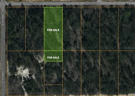 SW Sea Cliff Avenue Dunnellon FL 34431