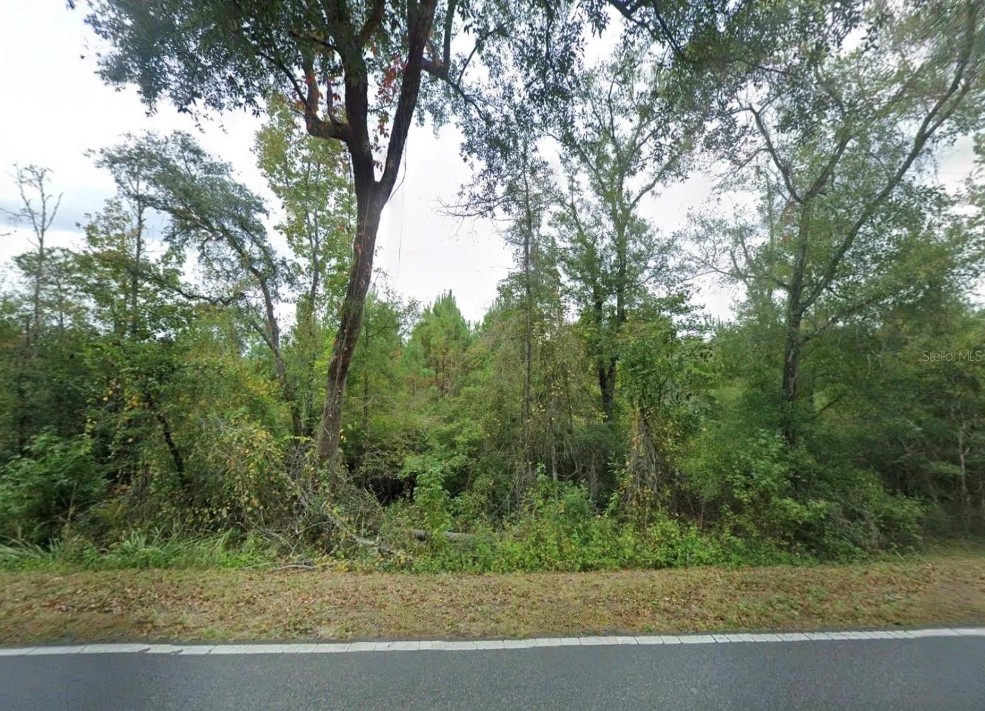 11473 Bud Henry Place Tallahassee FL 32317